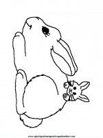 disegni_da_colorare_animali/coniglio_conigli/coniglio_a3.JPG