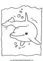 disegni_da_colorare_animali/delfino_delfini/delfino_delfini_01.JPG