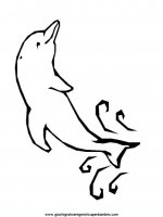 disegni_da_colorare_animali/delfino_delfini/delfino_delfini_10.JPG