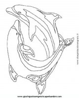 disegni_da_colorare_animali/delfino_delfini/delfino_delfini_29.JPG
