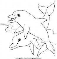 disegni_da_colorare_animali/delfino_delfini/delfino_delfini_35.JPG