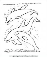 disegni_da_colorare_animali/delfino_delfini/delfino_delfini_42.JPG