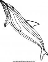 disegni_da_colorare_animali/delfino_delfini/delfino_delfini_45.JPG