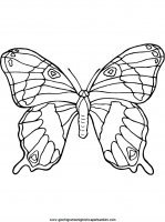 disegni_da_colorare_animali/farfalla_farfalle/butterfly02.JPG