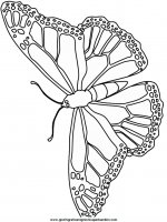 disegni_da_colorare_animali/farfalla_farfalle/farfalle_5.JPG