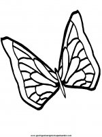 disegni_da_colorare_animali/farfalla_farfalle/farfalle_7.JPG
