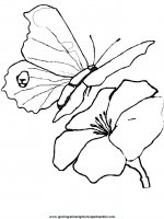 disegni_da_colorare_animali/farfalla_farfalle/farfalle_a8.JPG