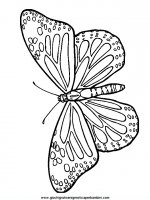 disegni_da_colorare_animali/farfalla_farfalle/farfalle_d4.JPG