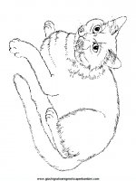 disegni_da_colorare_animali/gatto_gatti/cani_gatti_c2.JPG