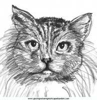 disegni_da_colorare_animali/gatto_gatti/cani_gatti_c26.JPG