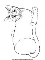disegni_da_colorare_animali/gatto_gatti/cani_gatti_c3.JPG