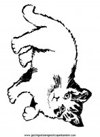 disegni_da_colorare_animali/gatto_gatti/cani_gatti_c30.JPG