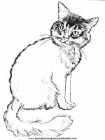 disegni_da_colorare_animali/gatto_gatti/cani_gatti_c7.JPG