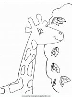 disegni_da_colorare_animali/giraffa_giraffe/giraffe2.JPG
