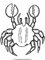 disegni_da_colorare_animali/granchio_granchi/crab4.JPG