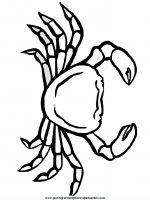 disegni_da_colorare_animali/granchio_granchi/crab5.JPG