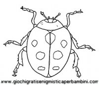 disegni_da_colorare_animali/insetto_insetti/coccinella2.JPG