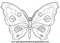 disegni_da_colorare_animali/insetto_insetti/farfalla.JPG