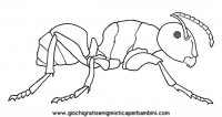 disegni_da_colorare_animali/insetto_insetti/formica.JPG
