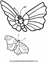 disegni_da_colorare_animali/insetto_insetti/insetti_b9675.JPG