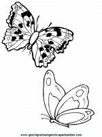 disegni_da_colorare_animali/insetto_insetti/insetti_b9676.JPG