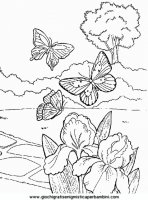 disegni_da_colorare_animali/insetto_insetti/insetti_b9677.JPG