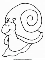disegni_da_colorare_animali/lumaca_lumache/lumaca_3.JPG