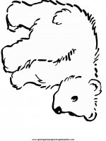disegni_da_colorare_animali/orso_orsi/orsi_16.JPG