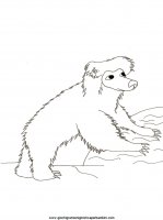 disegni_da_colorare_animali/orso_orsi/orsi_22.JPG