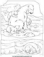 disegni_da_colorare_animali/orso_orsi/orso_b2.JPG