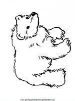 disegni_da_colorare_animali/orso_orsi/orso_b3.JPG