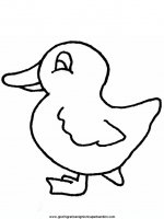 disegni_da_colorare_animali/papera_papere/duck8.JPG