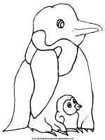 disegni_da_colorare_animali/pinguino_pinguini/pinguino_13.JPG