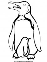 disegni_da_colorare_animali/pinguino_pinguini/pinguino_2.JPG