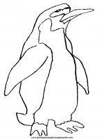 disegni_da_colorare_animali/pinguino_pinguini/pinguino_9.JPG