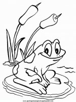 disegni_da_colorare_animali/rana_rane/rana_26.JPG