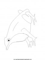 disegni_da_colorare_animali/rana_rane/rana_30.JPG