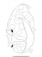 disegni_da_colorare_animali/rana_rane/rana_32.JPG