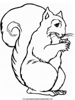 disegni_da_colorare_animali/scoiattolo_scoiattoli/scoiattolo_2.JPG
