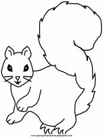 disegni_da_colorare_animali/scoiattolo_scoiattoli/scoiattolo_3.JPG