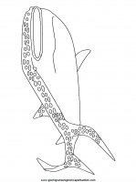 disegni_da_colorare_animali/squalo_squali/squalo_3.JPG