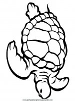 disegni_da_colorare_animali/tartaruga_tartarughe/tartaruga_b10.JPG