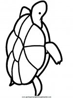 disegni_da_colorare_animali/tartaruga_tartarughe/tartaruga_b6.JPG