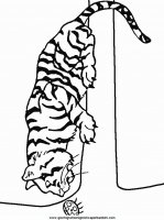 disegni_da_colorare_animali/tigre_tigri/tigre_8.JPG