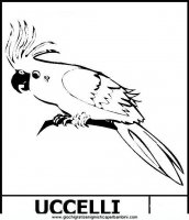 disegni_da_colorare_animali/uccello_uccelli/Pappagallo5.JPG