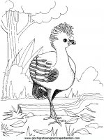 disegni_da_colorare_animali/uccello_uccelli/an-uccello2.JPG