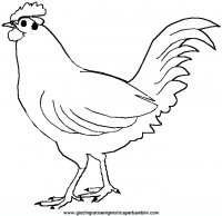 disegni_da_colorare_animali/uccello_uccelli/chicken.JPG