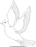 disegni_da_colorare_animali/uccello_uccelli/dove.JPG