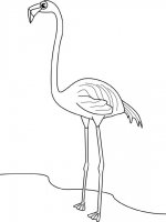 disegni_da_colorare_animali/uccello_uccelli/fenicottero.jpg