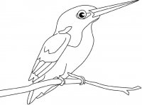 disegni_da_colorare_animali/uccello_uccelli/martin_pescatore.jpg
